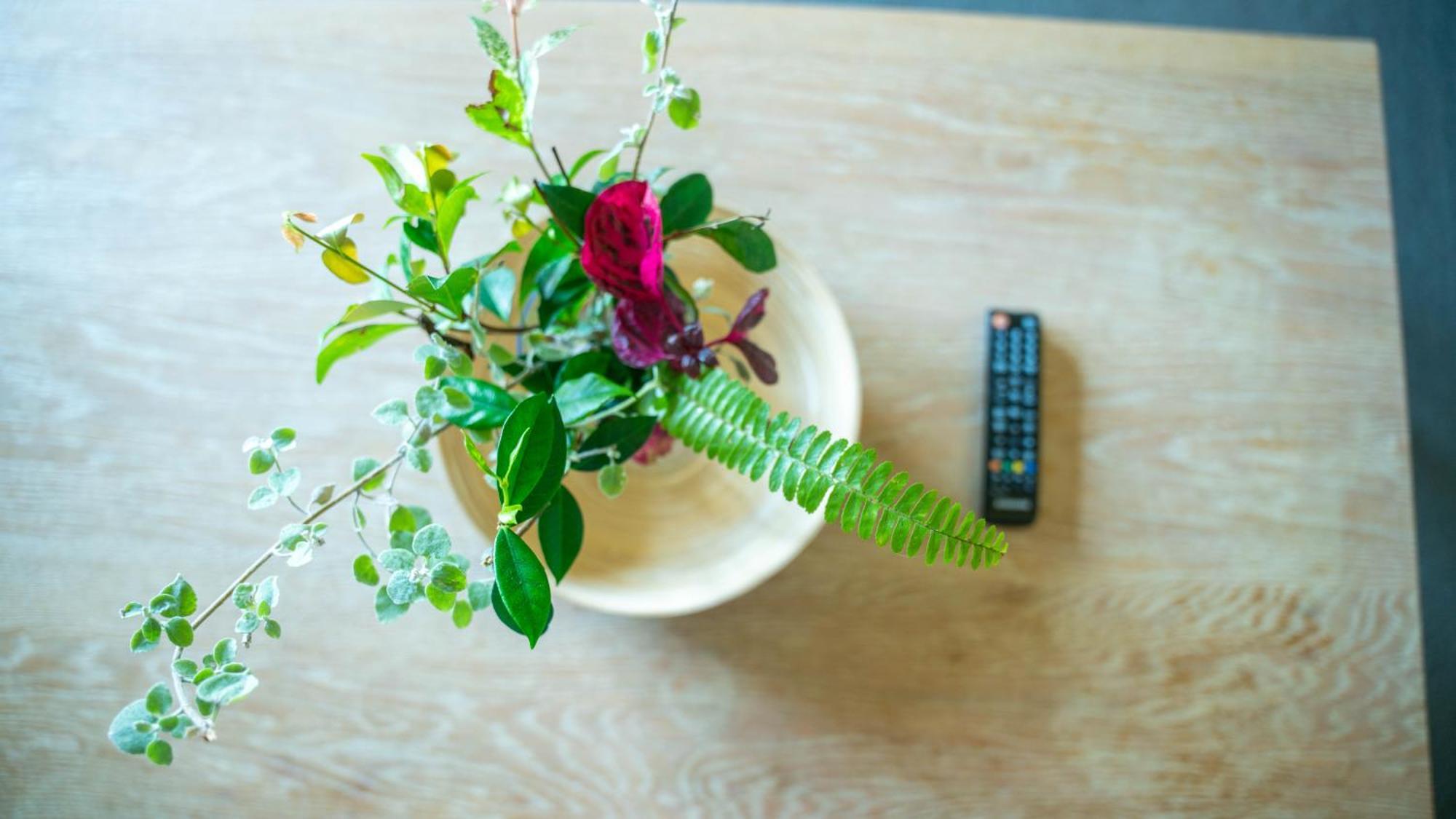 Apartment Bellevue Boutique